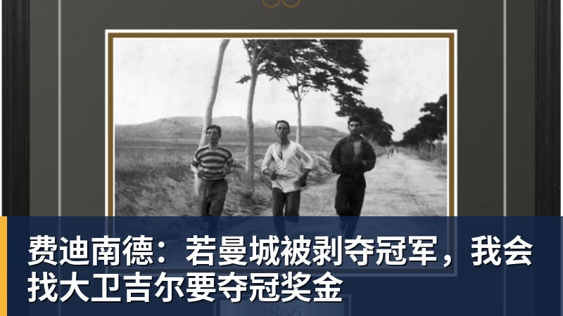 米兰体育费迪南德：若曼城被剥夺冠军，我会找大卫吉尔要夺冠奖金